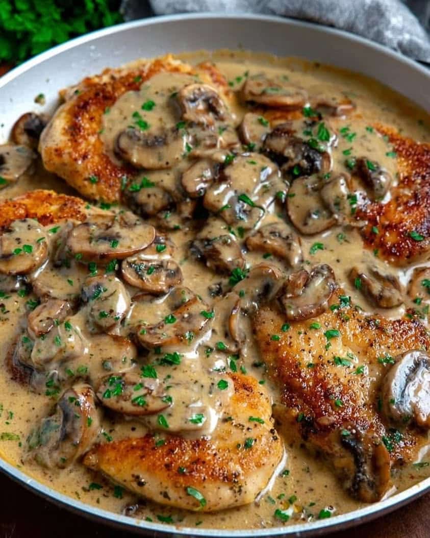 Chicken and Mushroom Skillet in a Creamy Asiago and Mustard Sauce 1